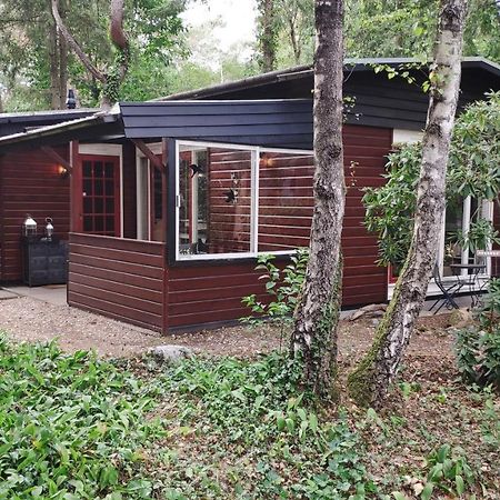 Bosbungalow De Eekhoorn Nunspeet Εξωτερικό φωτογραφία