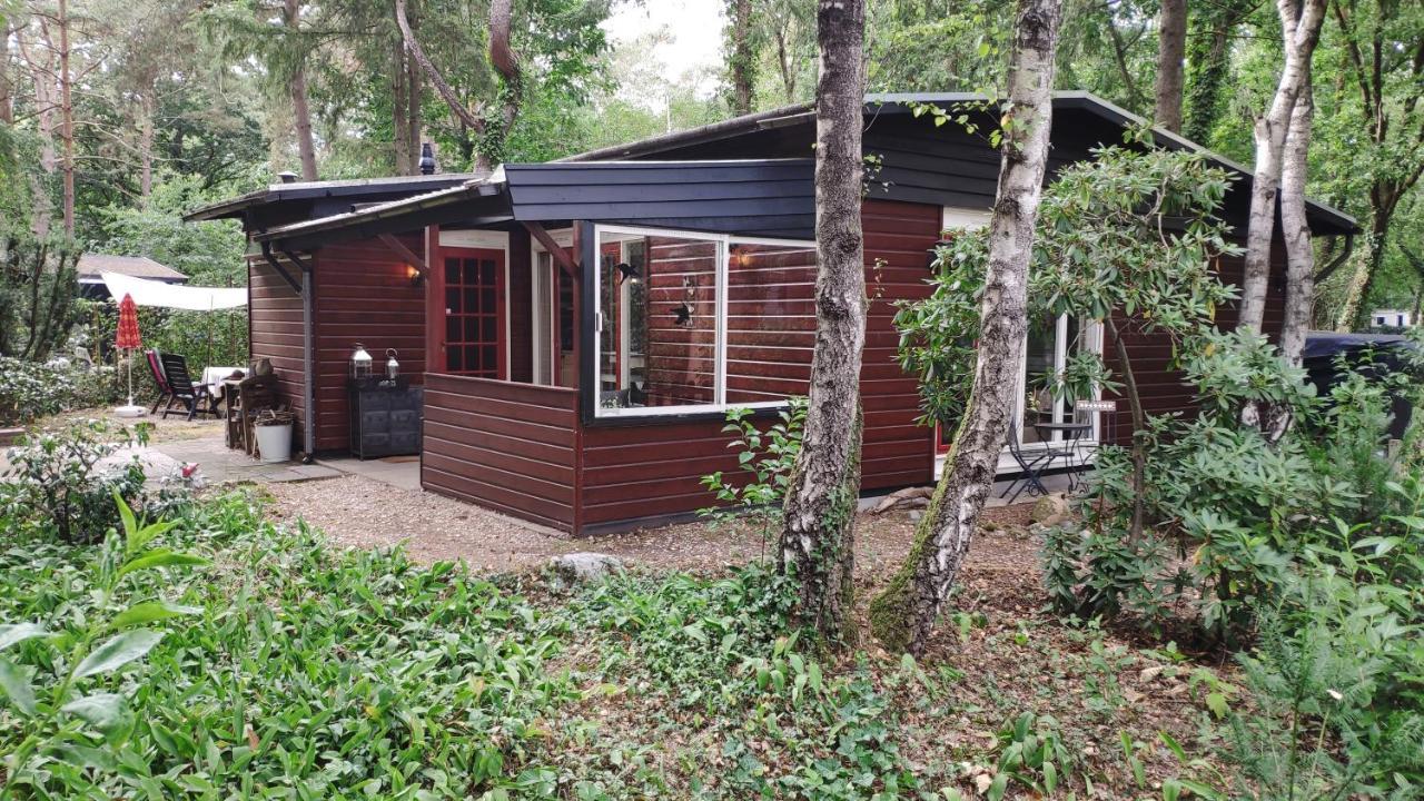 Bosbungalow De Eekhoorn Nunspeet Εξωτερικό φωτογραφία