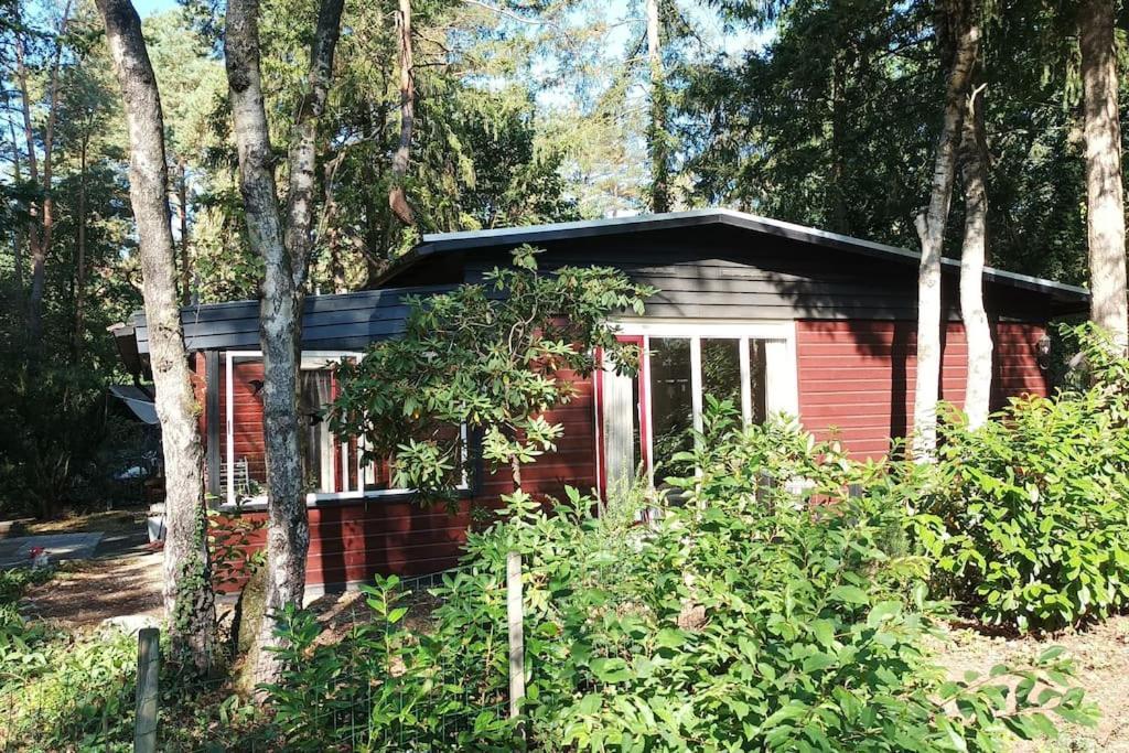 Bosbungalow De Eekhoorn Nunspeet Εξωτερικό φωτογραφία
